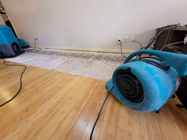 Professional Basement Flood Cleanup technician working in Randolph, MS